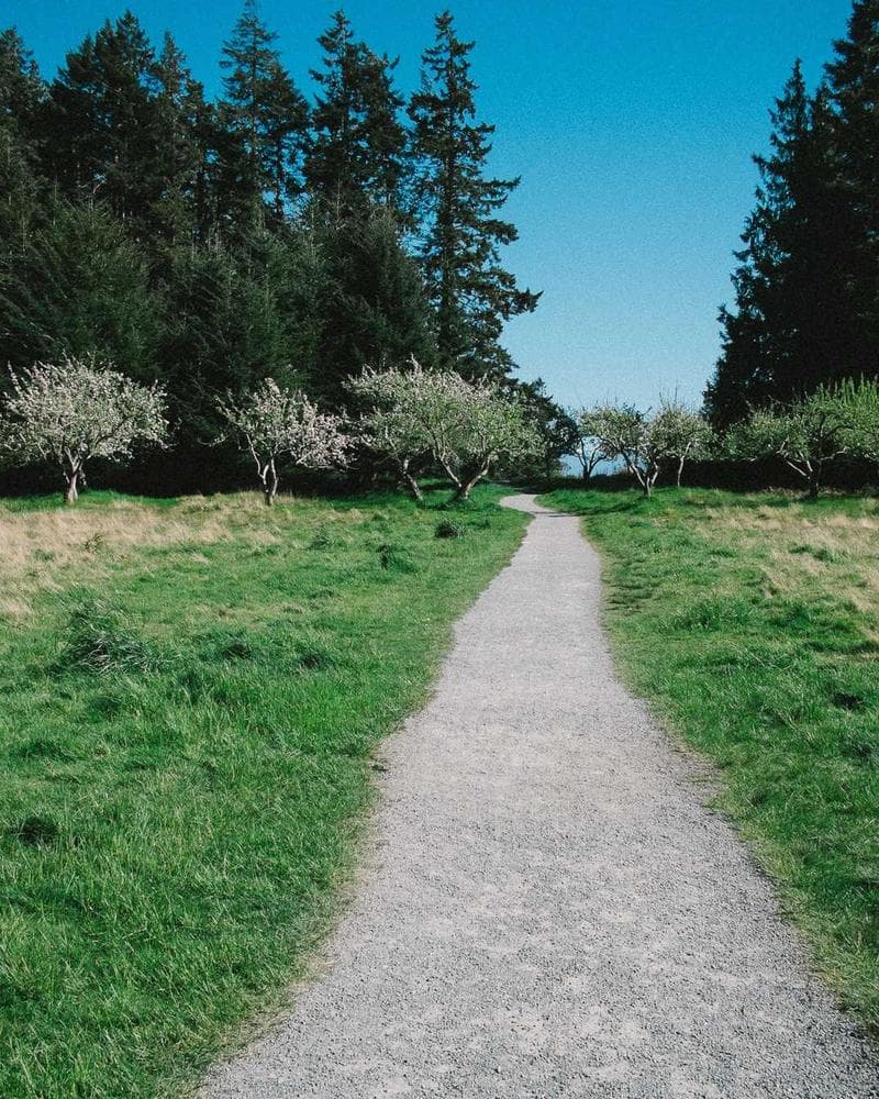 DuoWears Men’s Essential Oversized Tee — Cocoa Brown