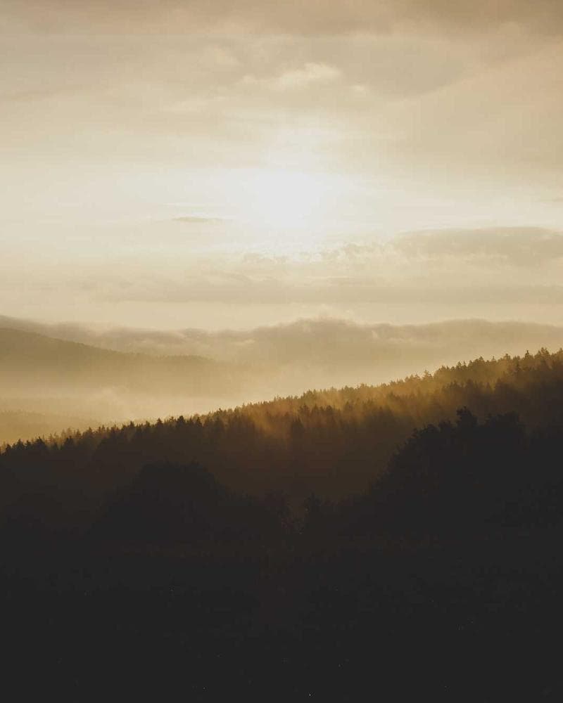 DuoWears Men’s Essential Oversized Tee — Cocoa Brown alternate view