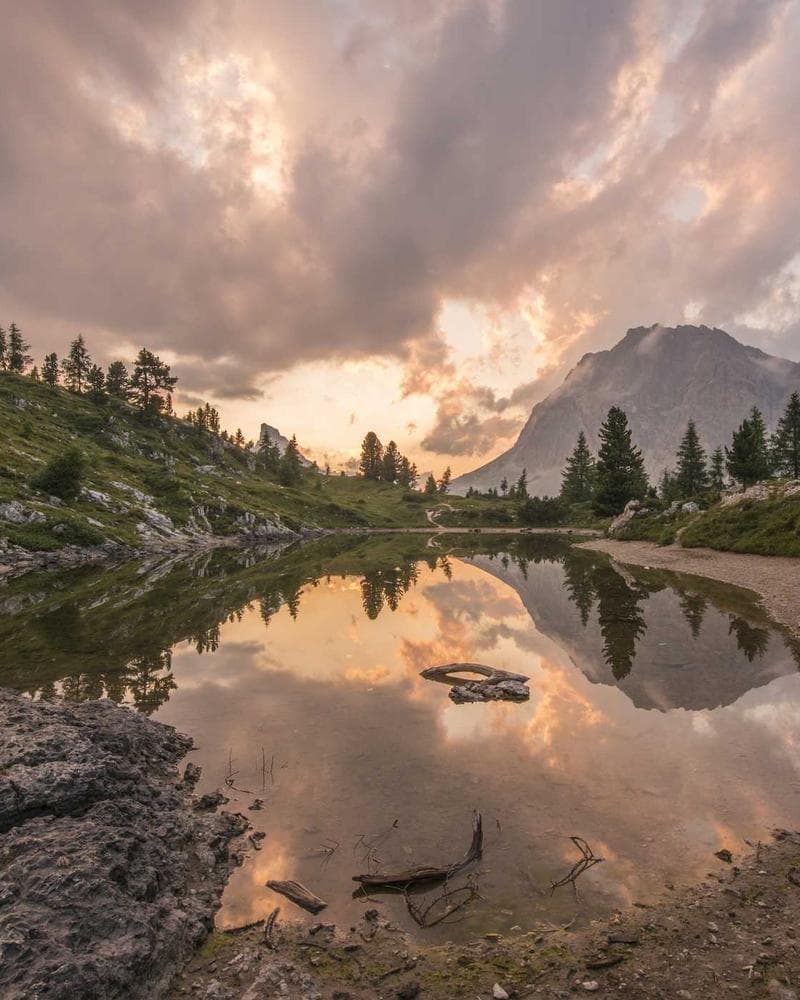 DuoWears Men’s Slim Fit Pants — Sand Beige alternate view